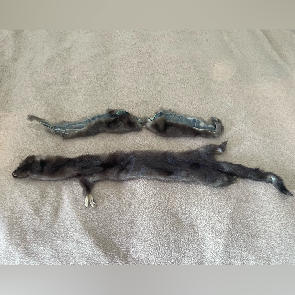 Full Mink Neck Scarf circa 1950s